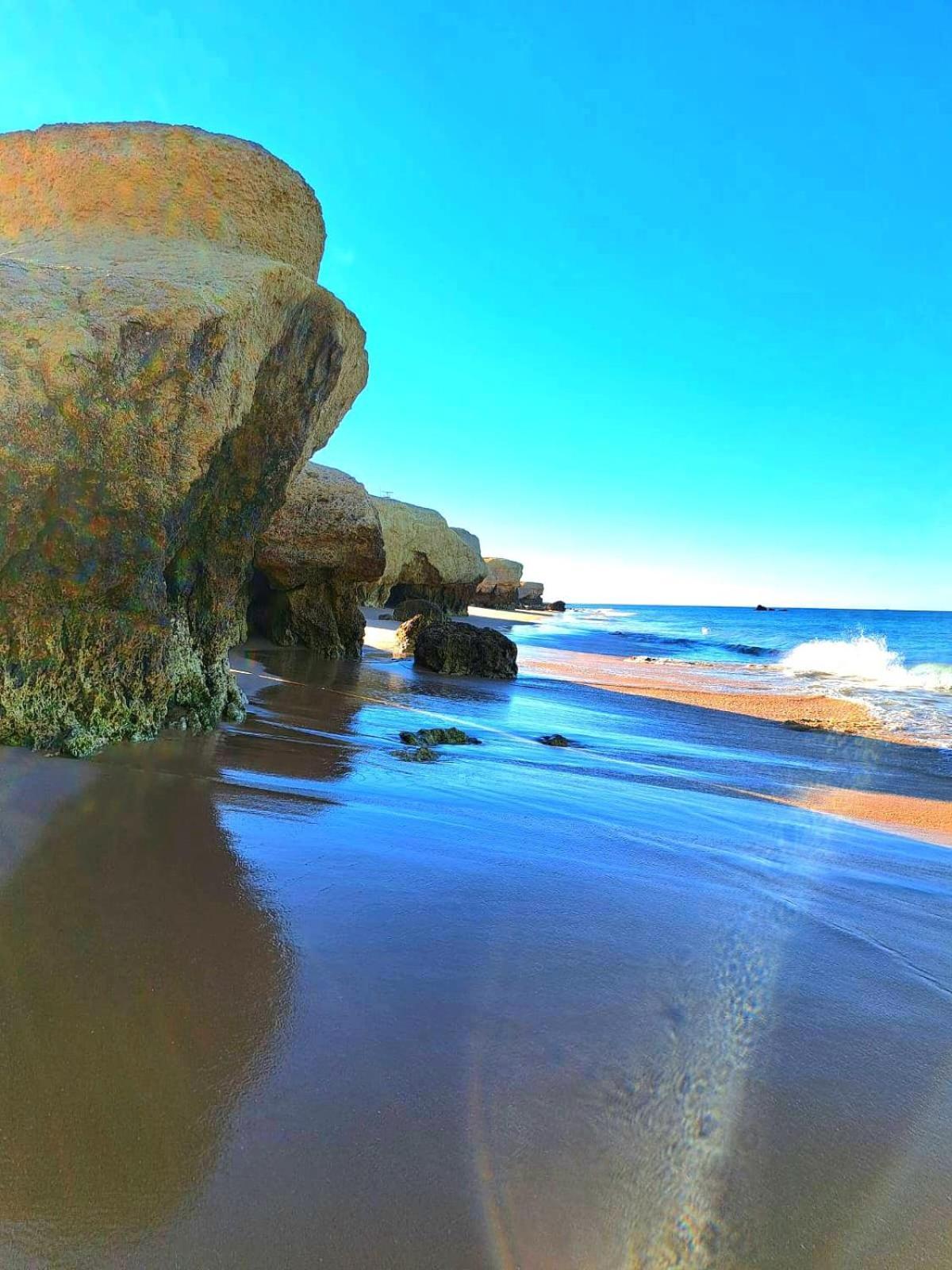 White T1 - Ocean View Lejlighed Albufeira Eksteriør billede